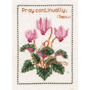 Sampler: SS36 Cyclamen